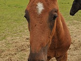 DSC_6431.JPG