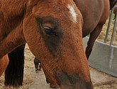 DSC_6432.JPG