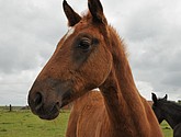 DSC_6434.JPG
