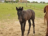 DSC_6436.JPG