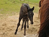 DSC_6437.JPG