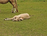 DSC_6440.JPG