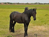 DSC_6444.JPG