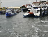 DSC_6447.JPG