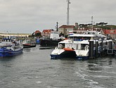 DSC_6448.JPG