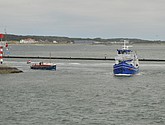 DSC_6457.JPG