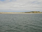 DSC_6459.JPG
