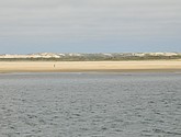 DSC_6461.JPG