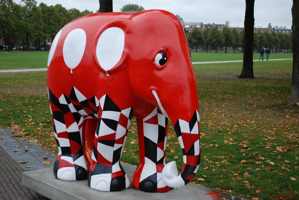 034 white balloon elephant rosa.jpg