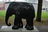 053 simply black.jpg
