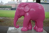 055 simply pink.jpg