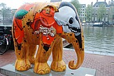 155.jpg