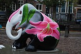 162 pink lily.jpg