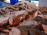 DSC_0020.JPG