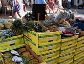 DSC_0024.JPG