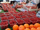 DSC_0025.JPG