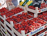 DSC_0041.JPG