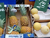 DSC_0084.JPG
