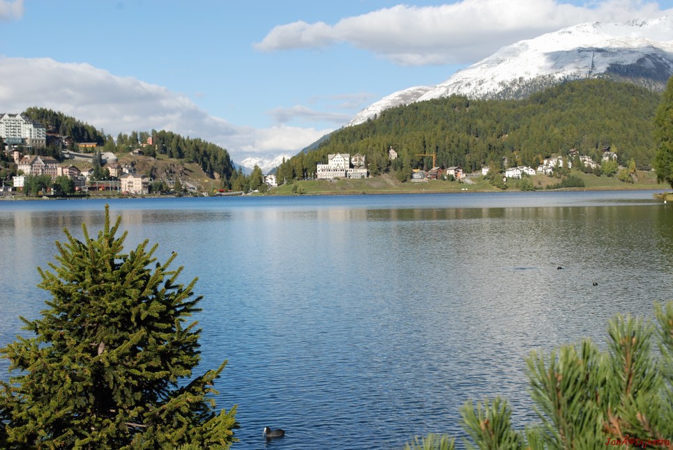 DSC_0409.JPG