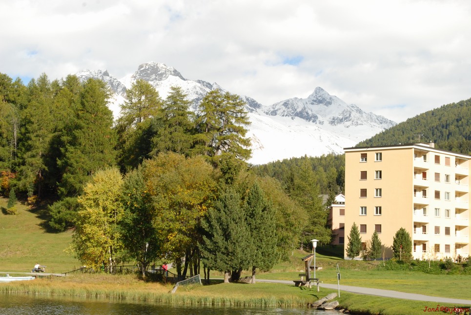 DSC_0412.JPG