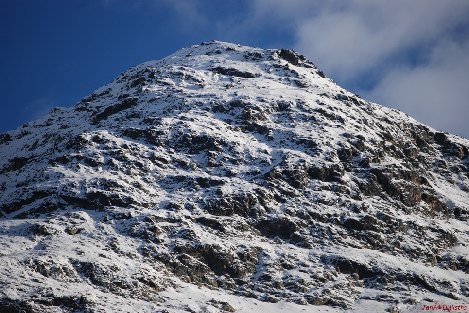 DSC_0429.JPG