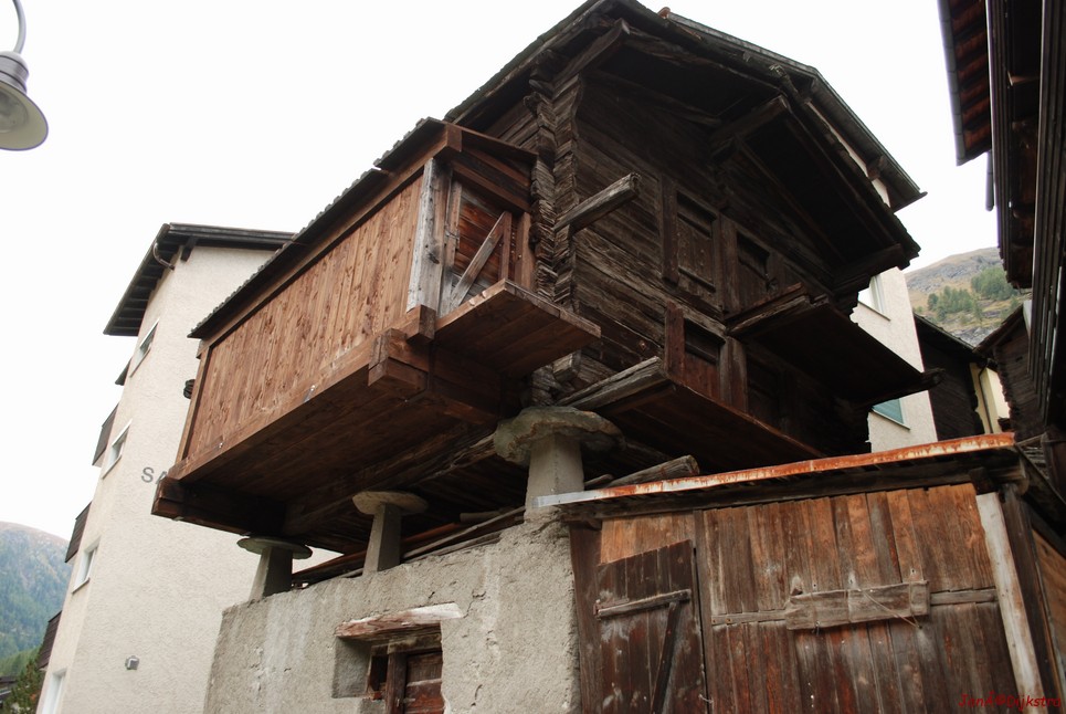 DSC_0246.JPG