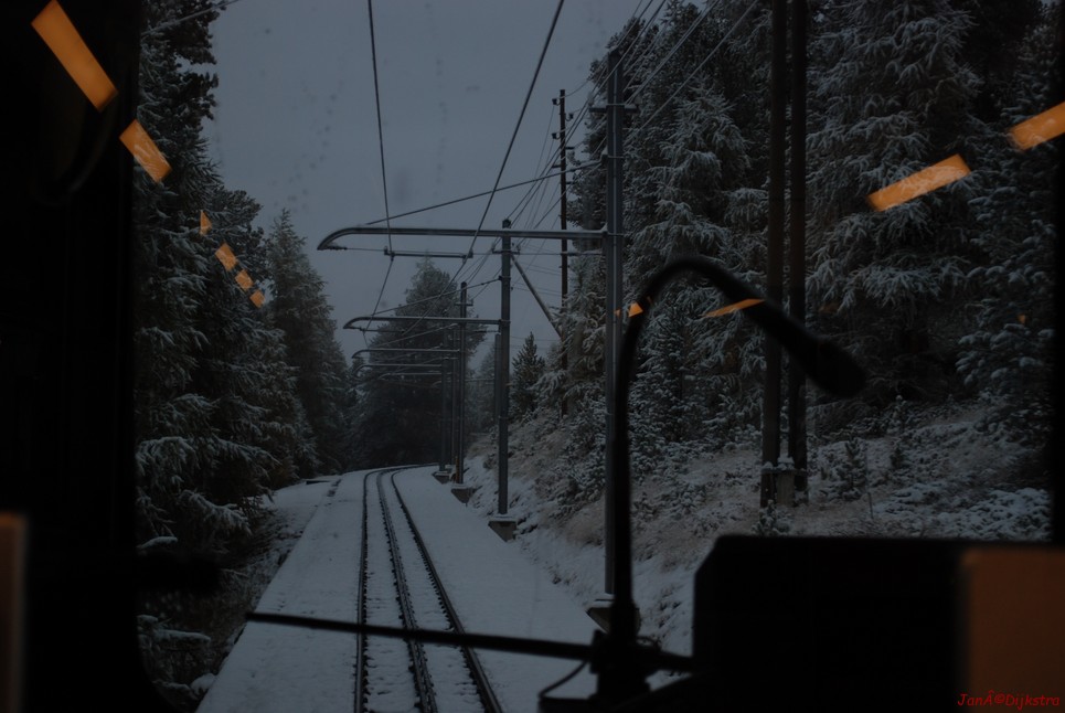 DSC_264.JPG