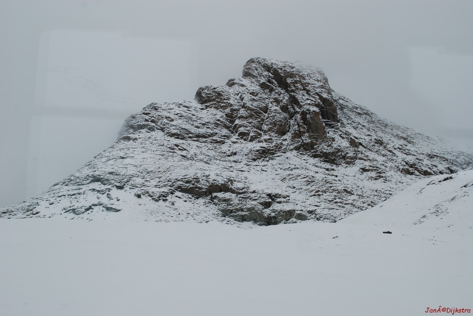 DSC_270.JPG