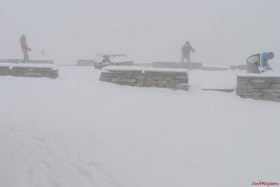DSC_291.JPG