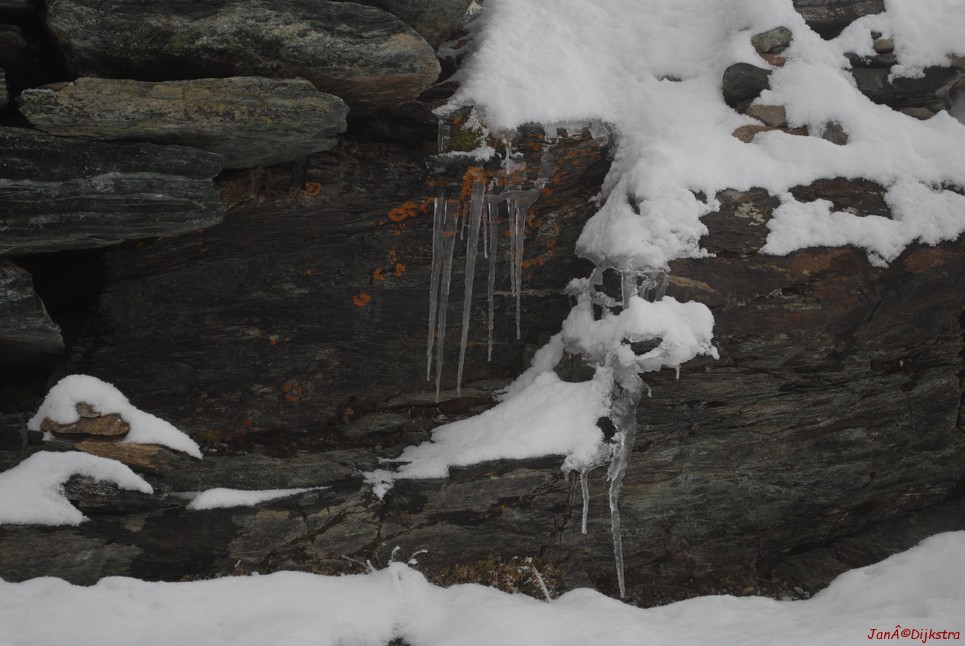 DSC_292.JPG