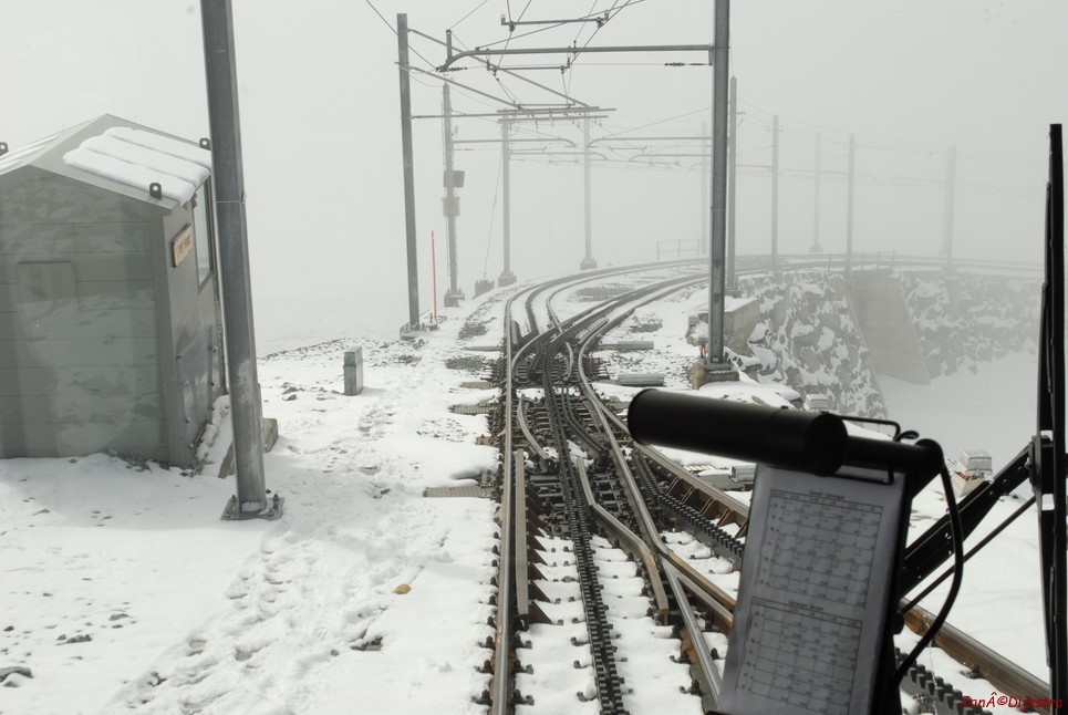 DSC_323.JPG