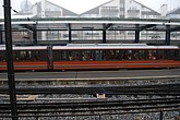 DSC_250.JPG
