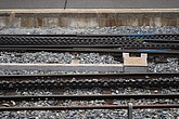 DSC_251.JPG