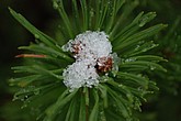 DSC_252.JPG