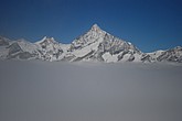 DSC_304.JPG