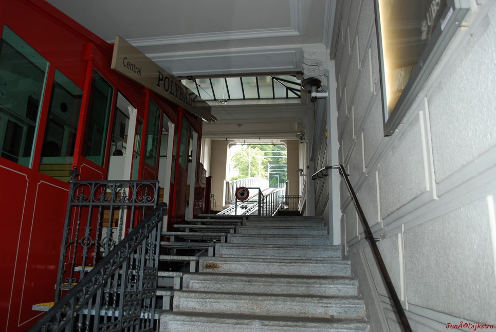 DSC_0315.JPG